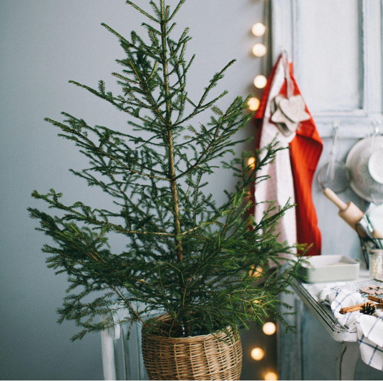 How to Choose the Perfect Artificial Christmas Tree for Your Home