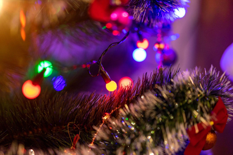 Festive Decor: Christmas Trees and Ornaments